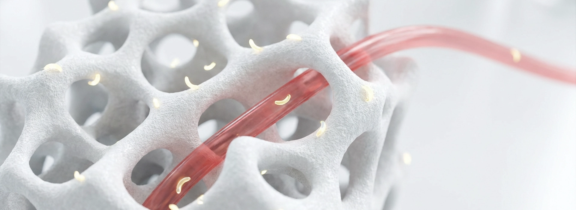 vascularized-flaps-post